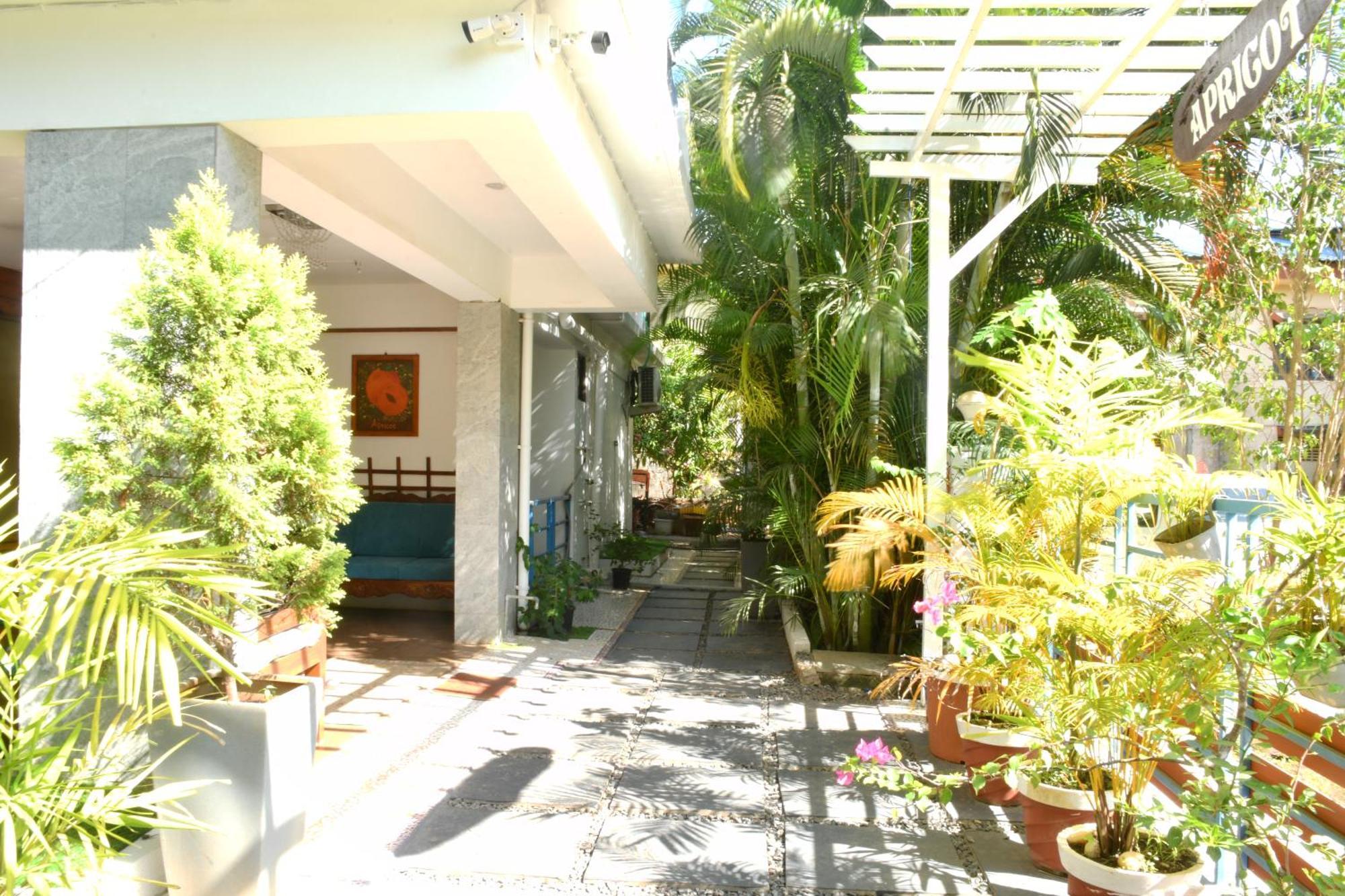 Apricot Homestays パロレム エクステリア 写真